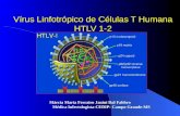 Vírus Linfotrópico de Células T Humana HTLV 1-2 Márcia Maria Ferrairo Janini Dal Fabbro Médica Infectologista-CEDIP- Campo Grande-MS.