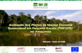 Avaliação dos Planos de Manejo Florestal Sustentável em Pequena Escala (PMFSPE) no Amazonas Manaus - maio de 2006.