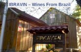 © Copyright 2009, Top Brands. Proibida reprodução. Todos os direitos reservados. IBRAVIN – Wines From Brazil.