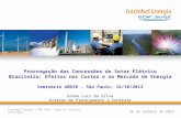 1 Prorrogação das Concessões do Setor Elétrico Brasileiro: Efeitos nos Custos e no Mercado de Energia Seminário ABDIB – São Paulo: 16/10/2012 Edson Luiz.