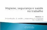 Módulo 3 Introdução à saúde, segurança e higiene no trabalho Módulo 3/CEF/Set.2007 Escola Secundária de Maria Lamas Prof. Céu Rodrigues.