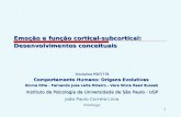 1 Emoção e função cortical-subcortical: Desenvolvimentos conceituais Disciplina PSE5778 Comportamento Humano: Origens Evolutivas Emma Otta - Fernando.