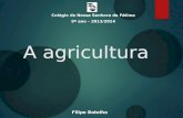 A agricultura Colégio de Nossa Senhora de Fátima 9º ano – 2013/2014 Filipe Botelho.