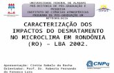 Apresentação: Cintia Rabelo da Rocha Orientador: Prof. Dr. Roberto Fernando da Fonseca Lyra CARACTERIZAÇÃO DOS IMPACTOS DO DESMATAMENTO NO MICROCLIMA EM.