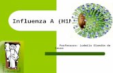 Influenza A (H1N1) Professora: Ludmila Olandim de Souza.