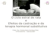 O ciclo estral de rata e Efeitos da castração e da terapia hormonal substitutiva Profa. Dra. Cristina Maria Henrique Pinto CFS/CCB/UFSC – setembro/2007.