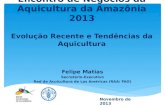 Encontro de Negócios da Aquicultura da Amazônia 2013 Evolução Recente e Tendências da Aquicultura Felipe Matias Secretário-Executivo Red de Acuicultura.