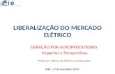 LIBERALIZAÇÃO DO MERCADO ELÉTRICO GERAÇÃO POR AUTOPRODUTORES Impactos e Perspectivas Professor: Adilson de Oliveira (coordenador) INEE - 27 de novembro.