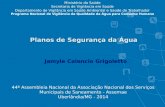 Jamyle Calencio Grigoletto Planos de Segurança da Água 44ª Assembleia Nacional da Associação Nacional dos Serviços Municipais de Saneamento - Assemae Uberlândia/MG.