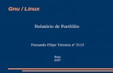 Gnu / Linux Relatório de Portfólio Fernando Filipe Teixeira nº 3113 Beja 2007.