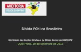 Seminário das Seções Sindicais de Minas Gerais do SINASEFE Ouro Preto, 20 de setembro de 2013 Dívida Pública Brasileira.