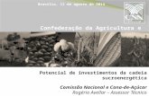 Confederação da Agricultura e Pecuária do Brasil Comissão Nacional e Cana-de-Açúcar Rogério Avellar – Assessor Técnico Potencial de investimentos da cadeia.