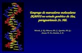 Emprego de marcadores moleculares (RAPD) no estudo genético de Ilex paraguariensis St. Hil. Wendt, S. N.; Mazza, M. C.; Quoirin, M. G.; Sousa, V. A.; Sturion,