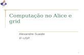 1 Computação no Alice e grid Alexandre Suaide IF-USP.