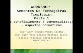 WORKSHOP Sementes De Forrageiras Tropicais: Parte 1 Do beneficiamento à comercialização – aspectos normativos Engº Agrº Sérgio Paulo Coelho Engª Agrª Yara.