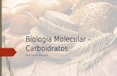 Biologia Molecular - Carboidratos Prof. Rafael Marques.