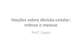 Noções sobre divisão celular: mitose e meiose Profª. Cassia.