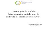“Promoção da Saúde: determinação social e a ação individual, familiar e coletiva” Alberto Pellegrini Filho Secretaria Técnica.
