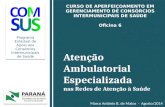 Atenção Ambulatorial Especializada nas Redes de Atenção à Saúde Programa Estadual de Apoio aos Consórcios Intermunicipais de Saúde CURSO DE APERFEIÇOAMENTO.