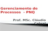 Prof. MSc. Cláudio Cabral.  Os processos são constituídos pelo conjunto das atividades inter- relacionadas ou interativas que transformam insumos (entradas)