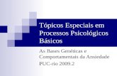Tópicos Especiais em Processos Psicológicos Básicos As Bases Genéticas e Comportamentais da Ansiedade PUC-rio 2009.2.