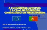 Textos: Miguel Gorjão-Henriques Technical Adviser : Paula Cristina Lopo.