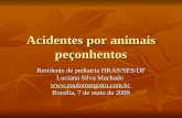 Acidentes por animais peçonhentos Residente de pediatria HRAS/SES/DF Luciana Silva Machado  Brasília, 7 de maio de 2009.