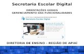 Secretaria Escolar Digital ORIENTAÇÕES GERAIS GERENCIAMENTO DAS FUNCIONALIDADES DIRETORIA DE ENSINO – REGIÃO DE APIAÍ Núcleo de Informações Educacionais.