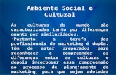Ambiente Social e Cultural As culturas do mundo são caracterizadas tanto por diferenças quanto por similaridades. Portanto, a tarefa dos profissionais.
