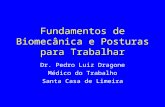 Fundamentos de Biomecânica e Posturas para Trabalhar Dr. Pedro Luiz Dragone Médico do Trabalho Santa Casa de Limeira.