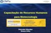 Capacitação de Recursos Humanos para Biotecnologia Marcelo Morales Diretor CNPq.