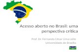 Acesso aberto no Brasil: uma perspectiva crítica Prof. Dr. Fernando César Lima Leite Universidade de Brasília.