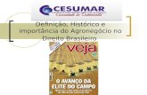Definição, Histórico e importância do Agronegócio no Direito Brasileiro.