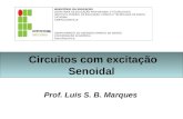 Circuitos com excitação Senoidal Prof. Luis S. B. Marques MINISTÉRIO DA EDUCAÇÃO SECRETARIA DE EDUCAÇÃO PROFISSIONAL E TECNOLÓGICA INSTITUTO FEDERAL DE.
