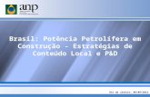 Rio de Janeiro, 09/09/2012 Brasil: Potência Petrolífera em Construção - Estratégias de Conteúdo Local e P&D.