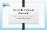 Curso Técnico em Mineração DISCIPLINA: Organização de Banco de Dados PROFESSOR: Flávio Barbosa PARACATU /MG.