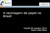 1 A reciclagem de papel no Brasil Cetesb 02 outubro 2014 Pedro Vilas Bôas.