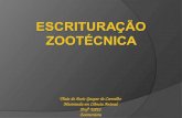 Thais de Assis Gaspar de Carvalho Mestranda em Ciência Animal Profª UPIS Zootecnista.