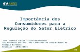 Importância dos Consumidores para a Regulação do Setor Elétrico José Jurhosa Júnior – Diretor-Ouvidor XVI Encontro Nacional dos Conselhos de Consumidores.