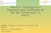 Desafios Tecnológicos e Regulação para Exploração de Gás Não Convencional no Brasil PEN5028 - Regulação e Política do Petróleo e Gás Natural Profa. Dra.