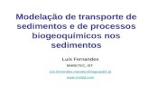 Modelação de transporte de sedimentos e de processos biogeoquímicos nos sedimentos Luís Fernandes MARETEC, IST luis.fernandes.maretec@taguspark.pt .