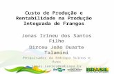 Custo de Produção e Rentabilidade na Produção Integrada de Frangos Jonas Irineu dos Santos Filho Dirceu João Duarte Talamini Pesquisador da Embrapa Suínos.