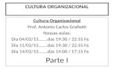 CULTURA ORGANIZACIONAL Cultura Organizacional Prof. Antonio Carlos Grafietti Nossas aulas: Dia 04/02/15.......das 19:30 / 22:55 hs Dia 11/02/15.......das.