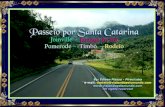 Nosso destino de hoje é o estado de Santa Catarina, um passeio por algumas de suas cidades e festas típicas...