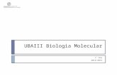 UBAIII Biologia Molecular 1º Ano 2014/2015. 13/nov/2014MJC-T08 Sumário:  Capítulo VII. O código genético  Propriedades do código genético  Capítulo.