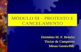 MÓDULO III – PROTESTO E CANCELAMENTO Hermínia M. F. Bráulio Titular de Campestre Minas Gerais/BR.