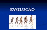 EVOLUÇÃO. Teorias Evolutivas I- Criacionismo ou Fixismo – Predominante até o século XVIII II- Hipótese de Transformações das Espécies – Início do século.