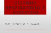 SISTEMAS RESPIRATÓRIO E DIGESTIVO PROF. MICHELINE C. CÂMARA.