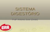 SISTEMA DIGESTÓRIO Profº Antonio José (Dedé). Tipos de alimento Plásticos ou estruturais: alimentos ricos em PROTEÍNAS.