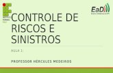 CONTROLE DE RISCOS E SINISTROS AULA 1: PROFESSOR HÉRCULES MEDEIROS.